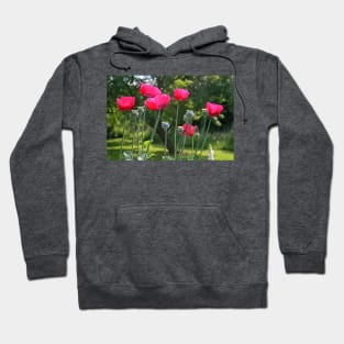 Poppy Power Hoodie